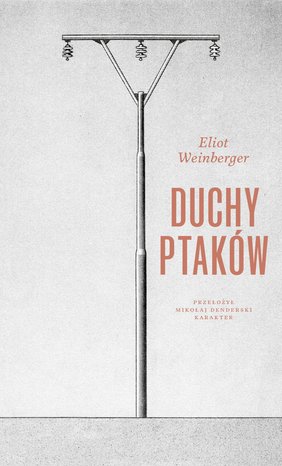 Duchy ptaków – ebook