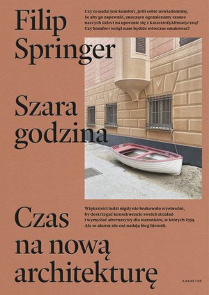 Szara godzina – ebook