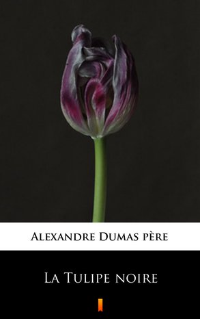 La Tulipe noire – ebook