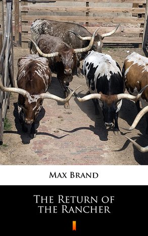 The Return of the Rancher – ebook