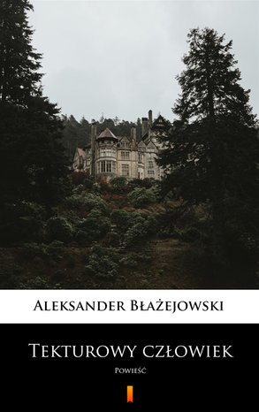 Tekturowy człowiek – ebook