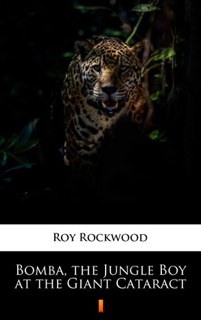 Bomba, the Jungle Boy at the Giant Cataract – ebook