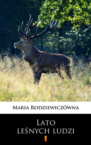 Lato leśnych ludzi – ebook