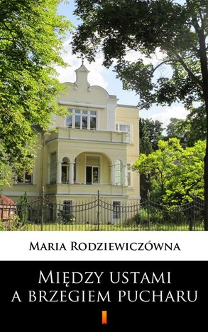 Między ustami a brzegiem pucharu – ebook