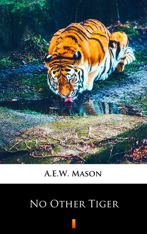 No Other Tiger – ebook