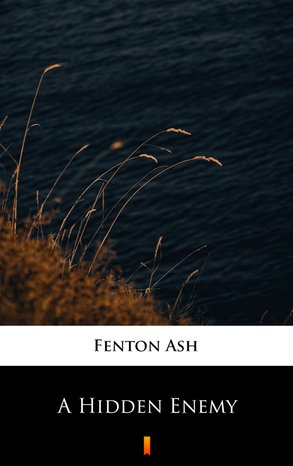A Hidden Enemy – ebook