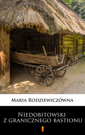 Niedobitowski z granicznego bastionu – ebook