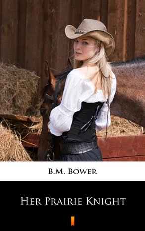 Her Prairie Knight – ebook