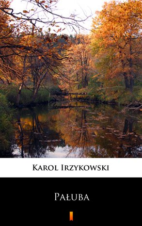 Pałuba – ebook