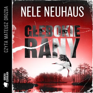 Głębokie rany – audiobook