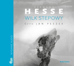 Wilk stepowy – audiobook