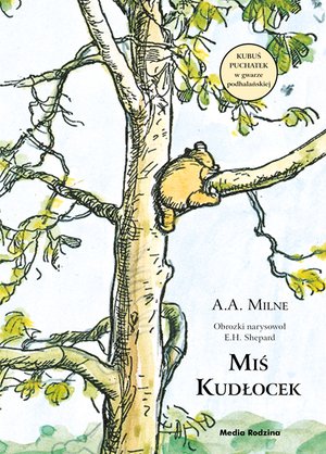 Miś Kudłocek – ebook
