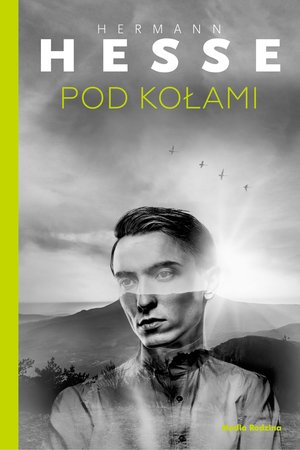 Pod kołami – ebook