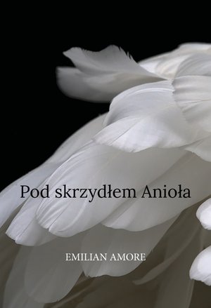 Pod skrzydłem Anioła – ebook