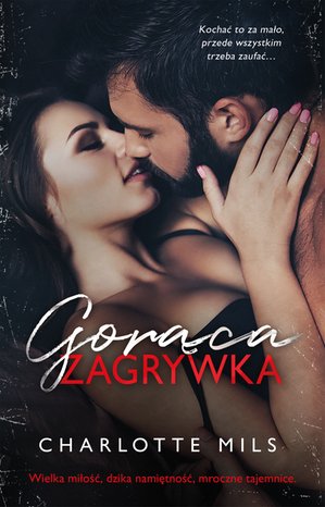 Gorąca zagrywka – ebook