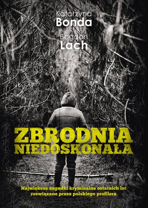 Zbrodnia niedoskonała – ebook
