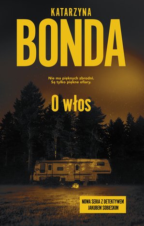 O włos – ebook