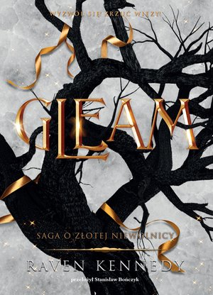 Gleam – ebook