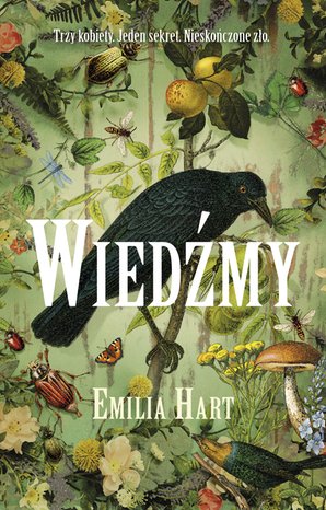 Wiedźmy – ebook