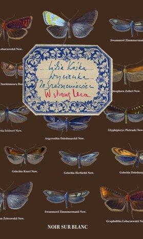 Wycieczka do Szerszeniowiec – ebook