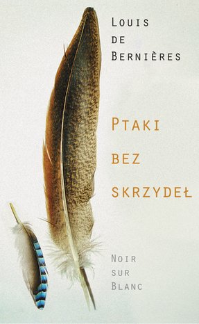 Ptaki bez skrzydeł – ebook
