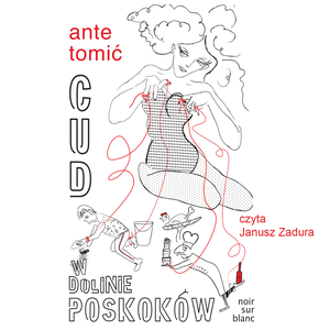 Cud w Dolinie Poskoków – audiobook