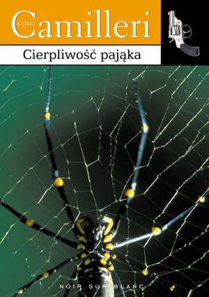 Cierpliwość pająka – ebook
