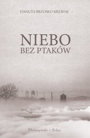 Niebo bez ptaków – ebook