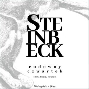 Cudowny Czwartek – audiobook