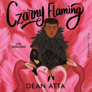 Czarny Flaming – audiobook