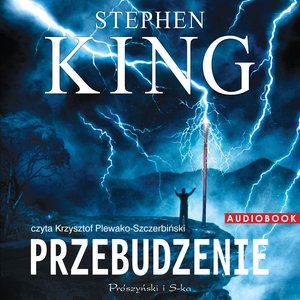 Kryminał, sensacja, thriller: Przebudzenie – audiobook