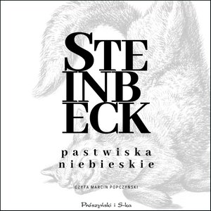 Pastwiska Niebieskie – audiobook