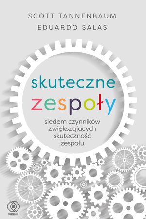 Skuteczne zespoły – ebook