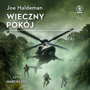 Wieczny pokój – audiobook