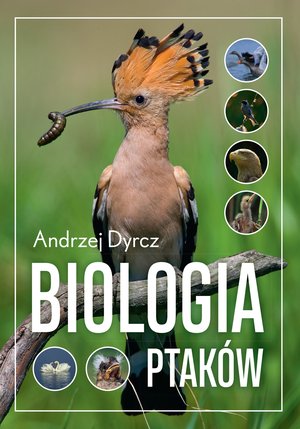 Biologia ptaków – ebook