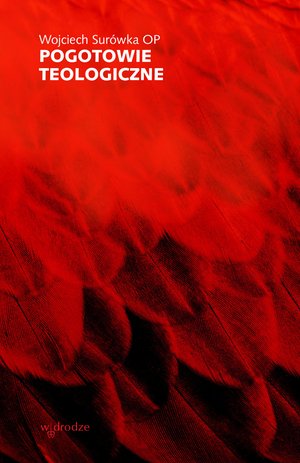 Pogotowie teologiczne – ebook