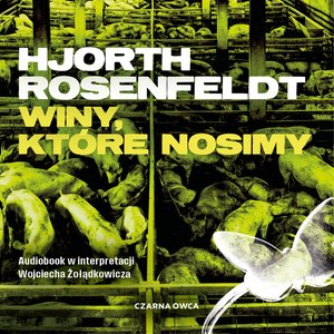 Sebastian Bergman tom 8: Winy, które nosimy – audiobook