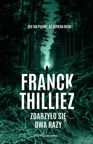 Zdarzyło się dwa razy – ebook