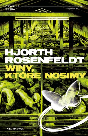 Sebastian Bergman tom 8: Winy, które nosimy – ebook