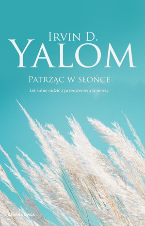 Patrząc w słońce – ebook