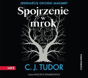 Spojrzenie w mrok – audiobook
