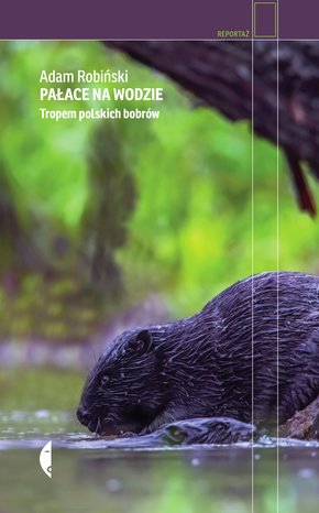 Pałace na wodzie – ebook