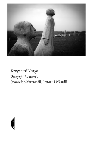 Ostrygi i kamienie – ebook