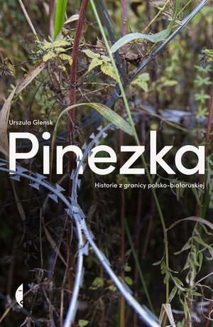 Pinezka – ebook