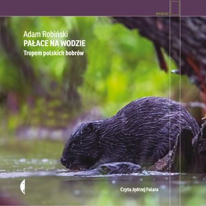 Pałace na wodzie – audiobook