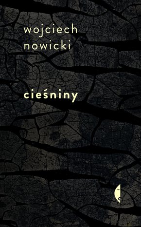 Cieśniny – ebook
