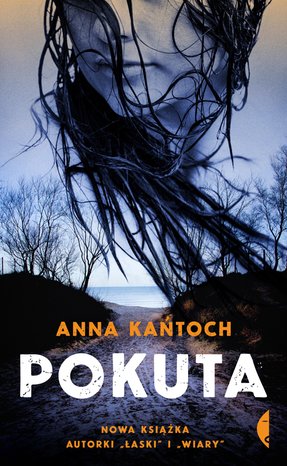Pokuta – ebook