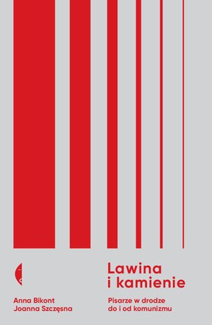 Lawina i kamienie – ebook