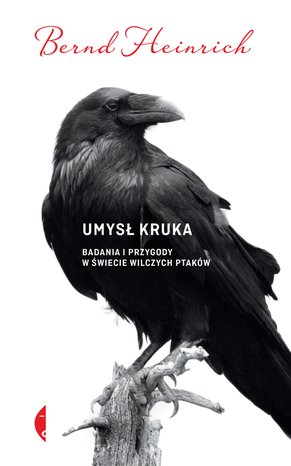 Umysł kruka – ebook