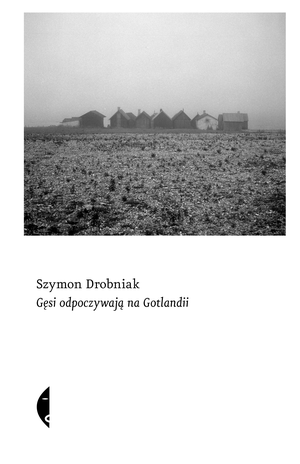 Gęsi odpoczywają na Gotlandii – ebook